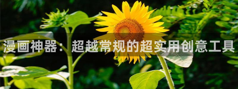 禁漫天堂官网网址