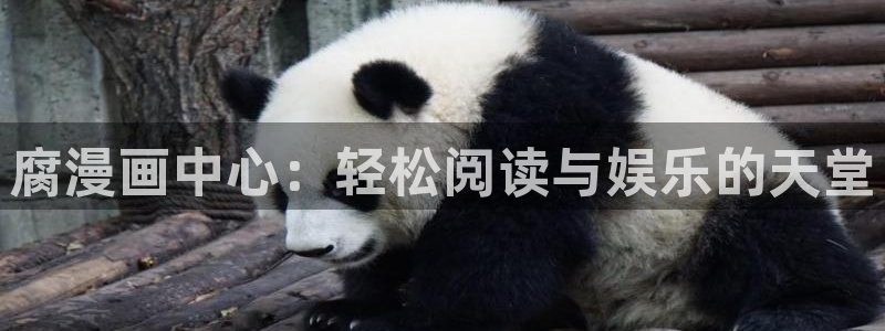 禁漫天堂,下载安装