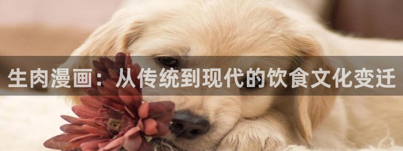 禁漫天堂漫画在线看网站