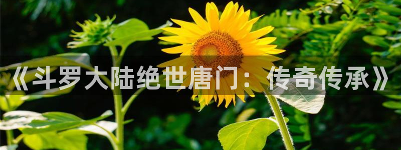 天堂漫画禁漫天堂