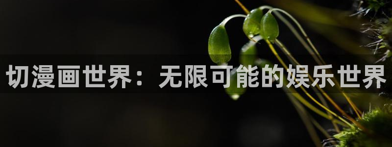 禁漫天堂 最新地址