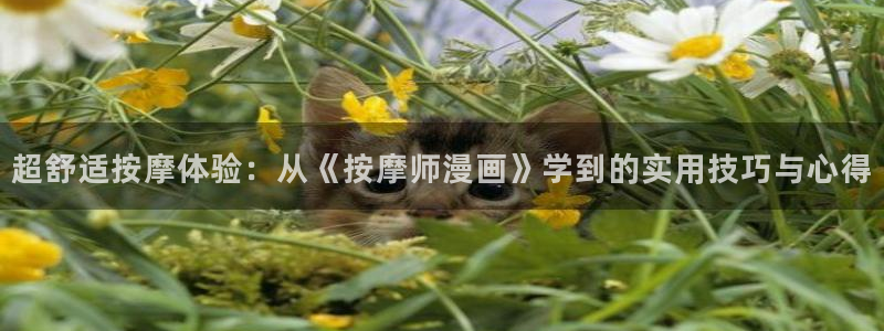 云缨的欢迎会禁漫天堂：超舒适按摩体验：从《按摩师漫画》学到的实用技巧与心得