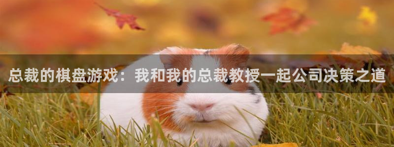 禁漫天堂3d漫画：总裁的棋盘游戏：我和我的总裁教授一起公司决策之道
