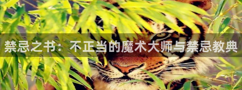禁漫天堂载入：禁忌之书：不正当的魔术大师与禁忌教典