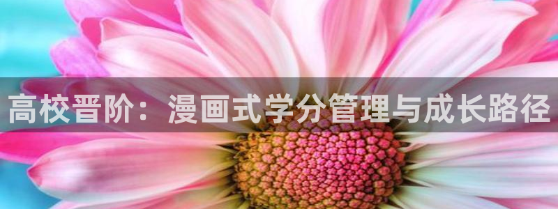 禁漫天堂18网站：高校晋阶：漫画式学分管理与成长路径