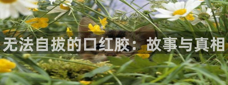 禁漫天堂在线登录：无法自拔的口红胶：故事与真相
