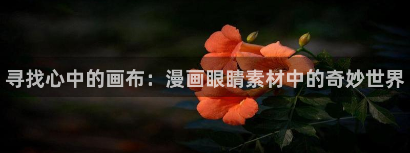 禁漫天堂18+下载：寻找心中的画布：漫画眼睛素材中的奇妙世界