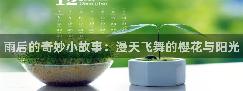 禁漫天堂用什么加速