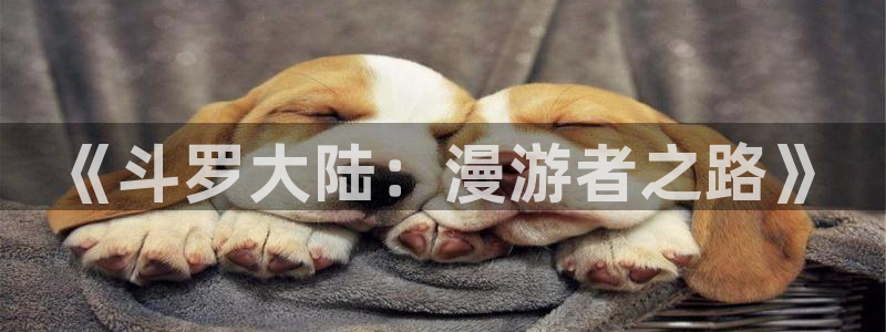 禁漫天堂的入口