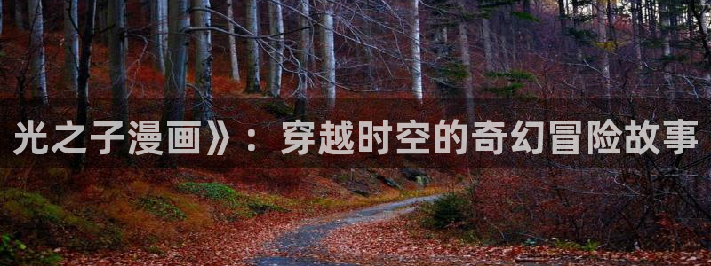 禁漫天堂怎么下载天下布魔：光之子漫画》：穿越时空的奇幻冒险故事