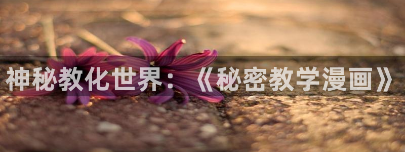 禁漫天堂2026：神秘教化世界：《秘密教学漫画》