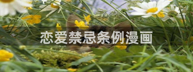 禁漫天堂官网入口：恋爱禁忌条例漫画