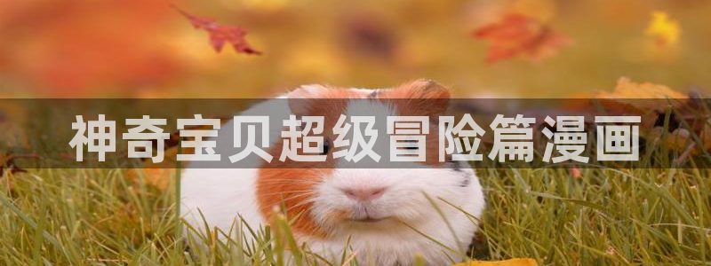 禁漫天堂a真人入口：神奇宝贝超级冒险篇漫画