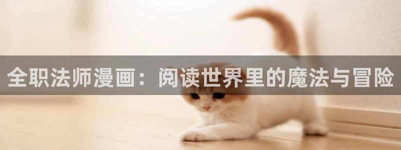禁漫天堂wwww：全职法师漫画：阅读世界里的魔法与冒险