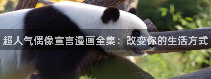 禁漫天堂传：超人气偶像宣言漫画全集：改变你的生活方式