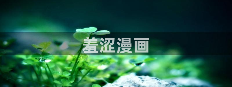禁漫天堂下载大全：羞涩漫画