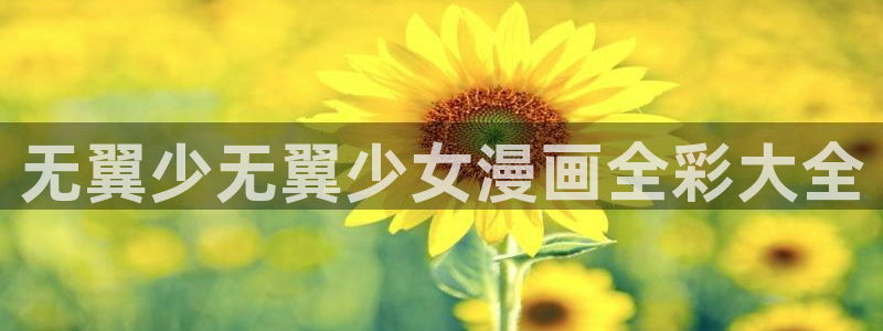 jmd禁漫岛：无翼少无翼少女漫画全彩大全