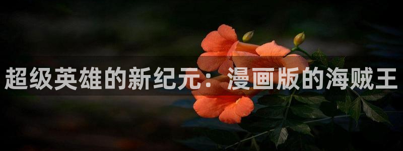禁漫天堂怎么进不去：超级英雄的新纪元：漫画版的海贼王