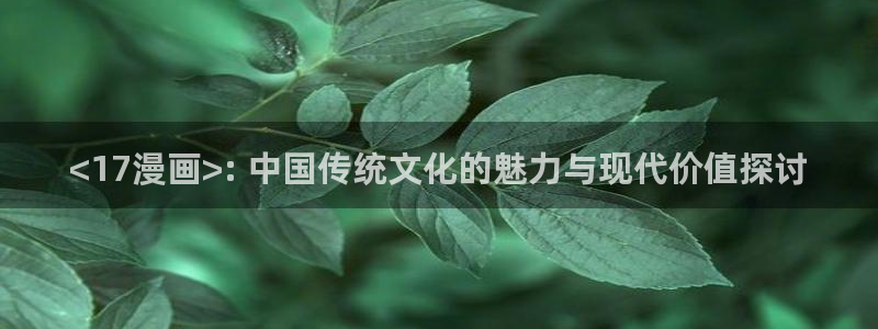 十八禁漫画无翼鸟：<17漫画>: 中国传统文化的魅力与现代价值探讨