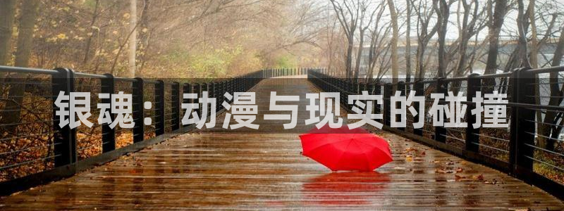 3d动漫禁漫天堂入口h：银魂：动漫与现实的碰撞