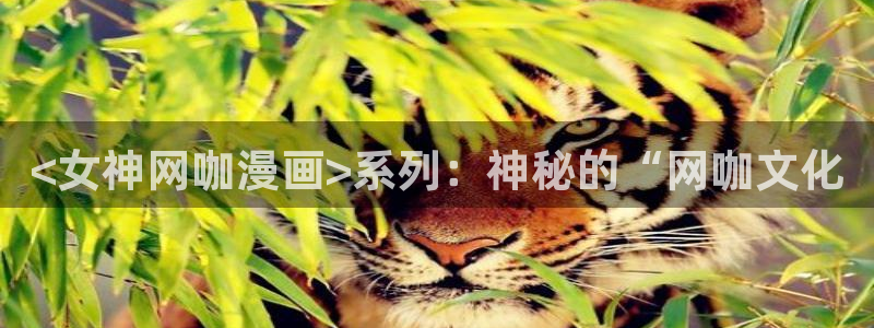 禁漫天堂没有：<女神网咖漫画>系列：神秘的“网咖文化