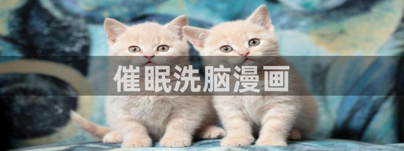 禁漫天堂相关