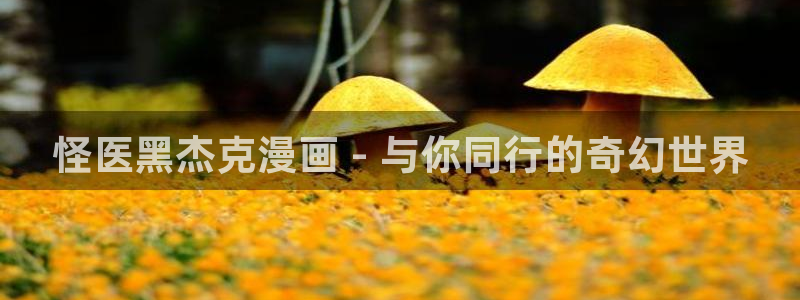 禁漫天堂网页版入门