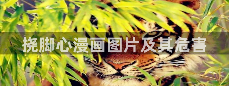☆禁漫天堂comic工作人员