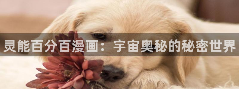 禁漫天堂下载18禁