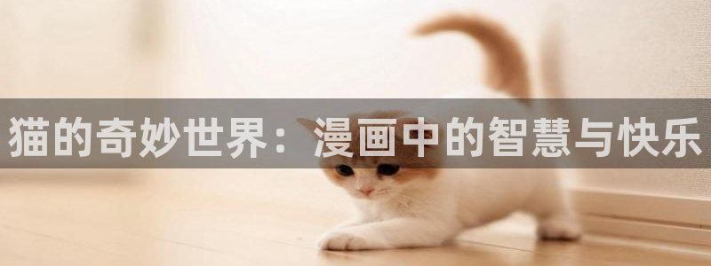 禁漫天堂t