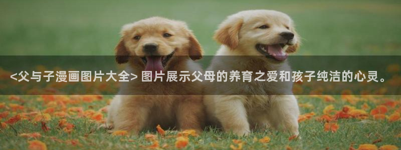 禁漫天堂网站免费