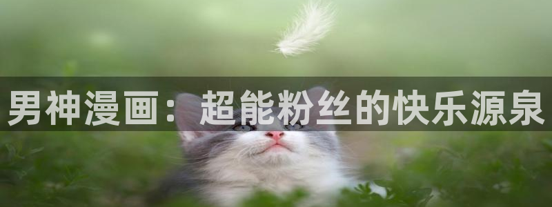 在线禁漫天堂：男神漫画：超能粉丝的快乐源泉
